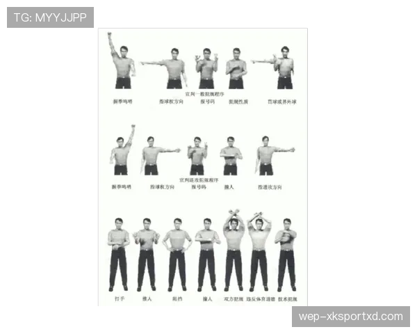 裁判手势全解析：这些动作到底代表什么判罚？